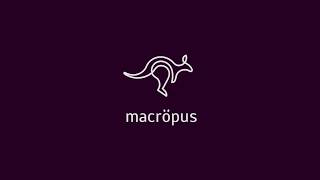 Macropus Interview featuring Artur Akchurin (CEO of Macropus)