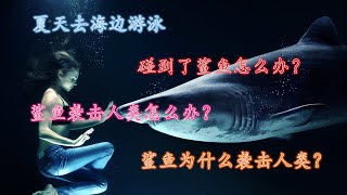 【冷知识】遇到了鲨鱼怎么办|鲨鱼袭击人怎么办呢？|鲨鱼为啥袭击人呢？