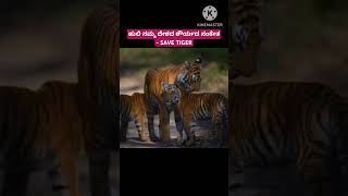 ಹುಲಿ ನಮ್ಮ ದೇಶದ ಶೌರ್ಯದ ಸಂಕೇತ - SAVE TIGER