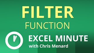 Excel FILTER Function | Excel One Minute Functions Explained