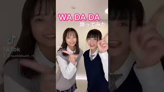 『WA DA DA / kep1er』踊ってみた #shorts