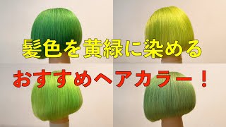 髪色を黄緑に染めるおすすめヘアカラー！