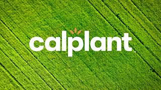 CalPlant Review Oct 2020