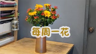 【大叔说花】每周一花71/火龙珠非洲菊/家庭装饰瓶插鲜花