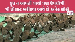 Valsad News: ગૌ સેવાથી સમૃદ્ધિ: વછરાજ ગૌશાળામાં ગાયોની સેવા, પંચગવ્યમાંથી બને છે વિવિધ વસ્તુઓ