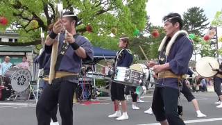 阿波踊りひかり蓮２０１７丸亀お城祭りで阿波踊りを乱舞