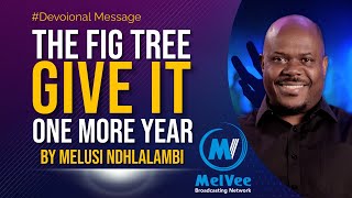 THE FIG TREE & YOU - ONE MORE YEAR || with Melusi Ndhlalambi