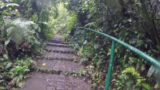 Selvatura Adventure Park Hanging Bridges