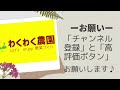 【超重要】ナスの栽培管理　 三本仕立てのやり方