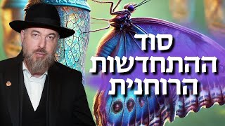 תורת הגלגול: איך לתקן את החלקים השבורים