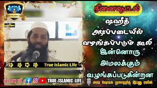 ஷஹீத் அடிப்படையில் வழங்கப்படும் கூலி இன்னொரு அமலக்கும் வழங்கப்படுகின்றன🎙️ஷேய்க் முஜாஹித் இப்னு ரஸீன்