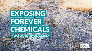 Exposing Forever Chemicals: PFAS Contamination in Maine (Part 1)