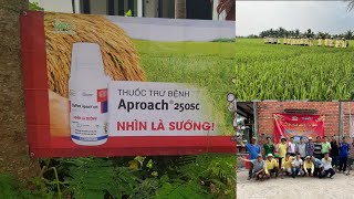 Phun Aproach 250SC Long Hồ, Vĩnh Long