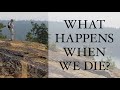 what happens when we die rupert sheldrake