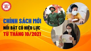 Chính Sách Mới Nổi Bật Có Hiệu Lực Từ Tháng 10/2021 | TVPL