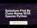 selenium find by class name with spaces python