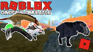 Roblox Dinosaur Simulator Watch Out For The Big Bois Megavore Vs - roblox dinosaur simulator everyone is after me king
