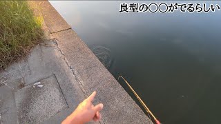 噂の釣りポイント【浜名湖釣り】🎣◯◯cm超えのアノ魚が釣れるらしい🐟️