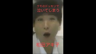 クモのドッキリで泣いてしまう和田アキ子（スタードッキリまる秘報告　放送日不明）　#shorts