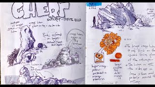The Nature Journal Connection, Episode 38: Fast Sketching Tips