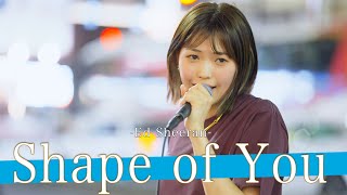 【歌詞付】超ゲリラ路上ライブ!?一瞬にして大渋滞を発生させる歌声がやばい!! Shape of You / Ed Sheeran【新宿路上ライブ-23.7.21】by 三阪 咲