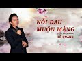 nỗi Đau muộn màng lê quang singer audio official