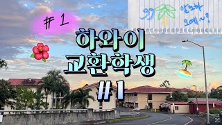 [🏝하와이 교환학생 #1] 파티에 초대 받다?🎉, 닭과의 전쟁🐔