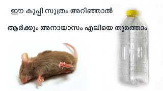 ഇതറിഞ്ഞാൽ ആർക്കും ഇനി എലിയെ പിടിക്കാം