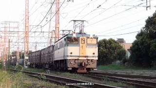 JR貨物 EF65 2127号機が牽引する貨物列車（H27.8.22）