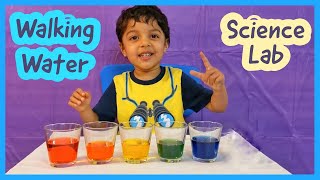 Diyan Learns Walking Water Science Experiment For Kids, STEM Capillary Action, Easy Science Activity