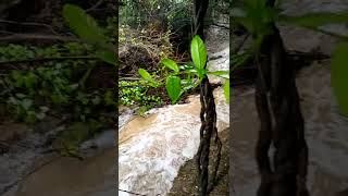 kothapalayam rain water 🥳