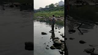 基隆河 烏魚 飛蠅 Fly Fishing