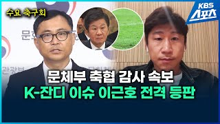 문체부의 ‘맹탕’ 감사? \