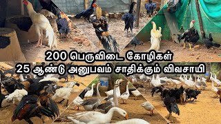 200 பெருவிடை கோழிகள் 25 ஆண்டு அனுபவம் சாதிக்கும் விவசாயி | விவசாய நண்பன் | peruvedai koli farm