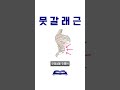 우리몸의 현수교 다열근 뭇갈래근 근육공부 이슈 근육