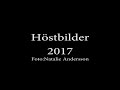 höstbilder 2017 av natalie andersson