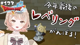 #123【ドラクエ10】修練の心得でレベリング！今年もお世話になりました～！【女性実況】#Vtuber