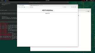 Make SSL GREEN HTTPS for localhost for develop purposes NGINX