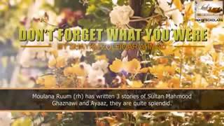 Sultan Mehmood Ghaznavi Aur Uska Wazir Ayaz by Maulana Zulfiqar Ahmad Sahb.( سلطان محمود غزنوی )