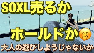 SOXL売るかホールドか🤭2024/12/25（水）大人の遊びしょうじゃないか!現物米株取引は大人の嗜みです😇