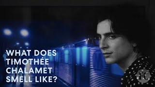 Why This Timothée Chalamet Ad Is Near Perfect | Fast Company