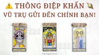 🪐2️⃣2️⃣2️⃣💥⚠️THÔNG ĐIỆP KHẨN VŨ TRỤ GỬI ĐẾN CHÍNH BẠN‼️❗️🕯️🫧✨⚡️Tarot