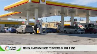 Carbon Tax Increase in 2025 can impact gas prices in Canada | OMNI News Punjabi