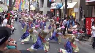 高幡不動七夕よさこい 日専連ぬまづ鳴子隊さん第二部①