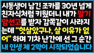 (신청사연) 시동생이 남긴 조카를 30년 넘게 친자식처럼 키웠더니 내가 말기 암선고를 받자 감쪽같이 사라지는데 '헛살았구나, 살 이유가 없어\