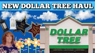 Fantastic Finds: Dollar Tree Haul May 17th, 2024