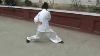 a kung fu master's amazing exercise