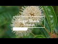 30 Seconds with Sugar Shack®