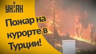 Стихия обрушилась на Турцию — лесные пожары перекинулись на жилые дома