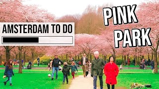 Cherry Blossom Park | Amsterdam TO DO